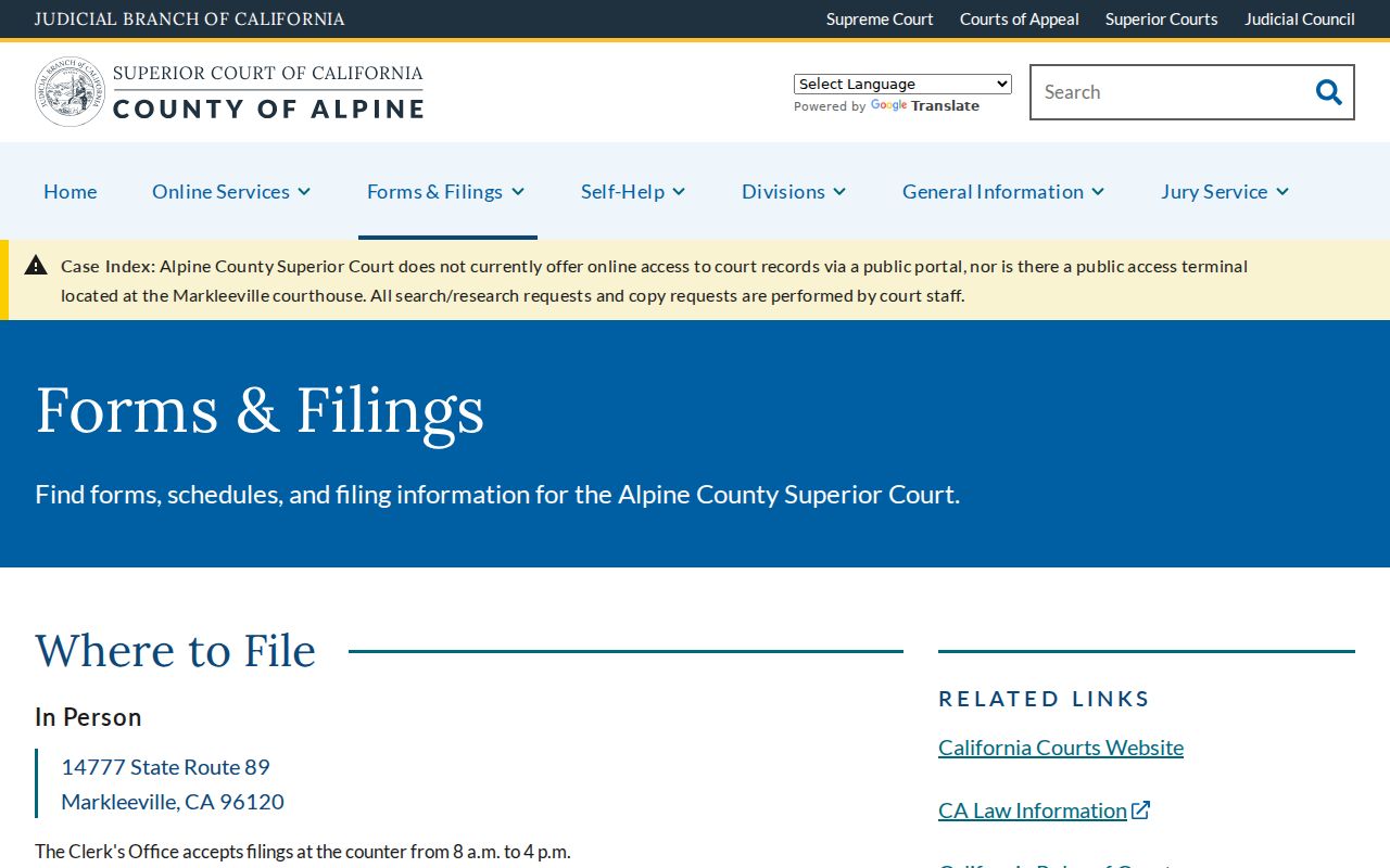 Alpine County criminal court case forms and filing channels